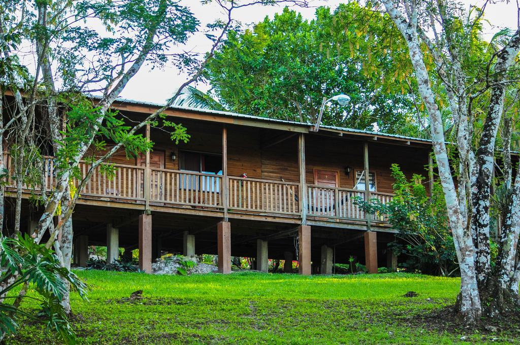 The Log Cab-Inn San Ignacio Quarto foto