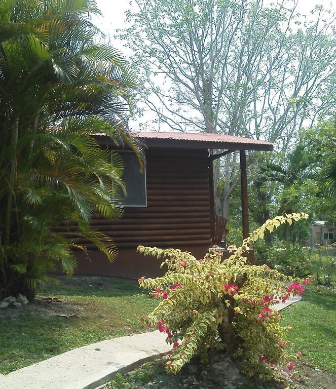 The Log Cab-Inn San Ignacio Quarto foto
