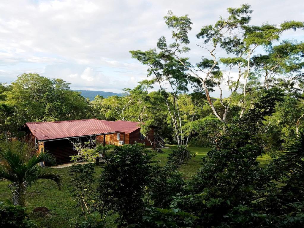 The Log Cab-Inn San Ignacio Exterior foto