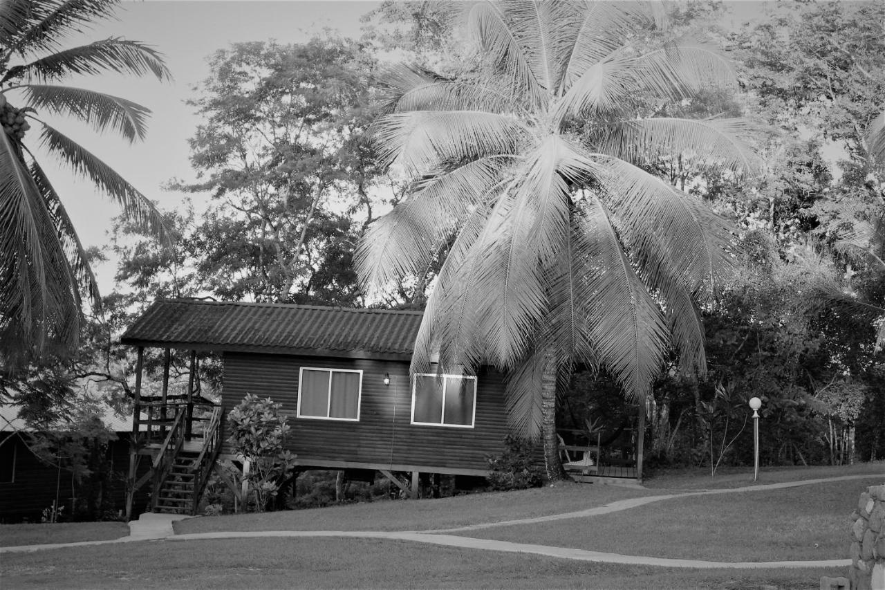The Log Cab-Inn San Ignacio Exterior foto