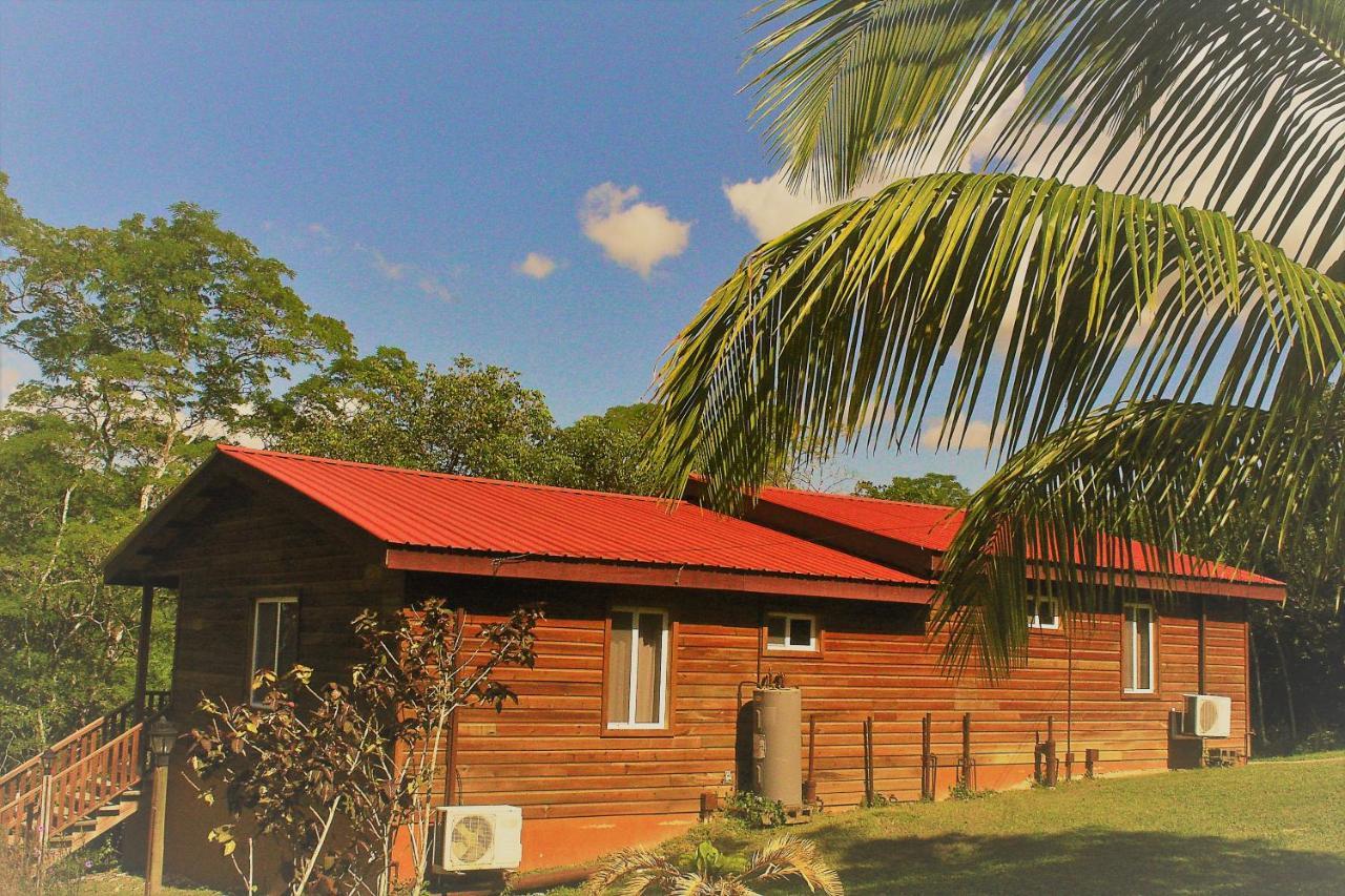 The Log Cab-Inn San Ignacio Exterior foto